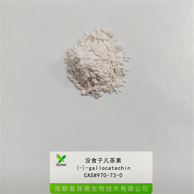沒(méi)食子兒茶素|970-73-0
