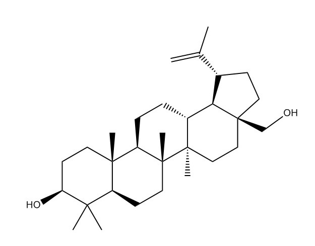 白樺脂醇|473-98-3